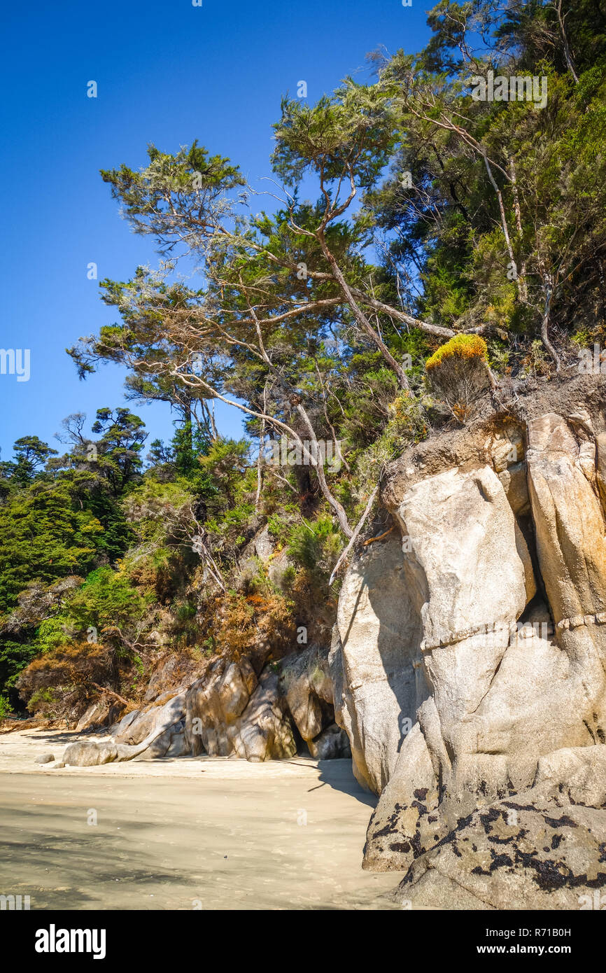 Creek nel Parco Nazionale Abel Tasman, Nuova Zelanda Foto Stock