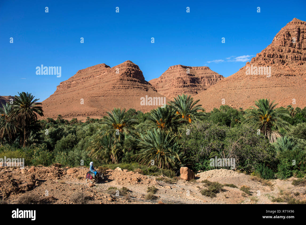 Ziz Valley, attraverso le montagne dell'Atlante del Marocco Foto Stock