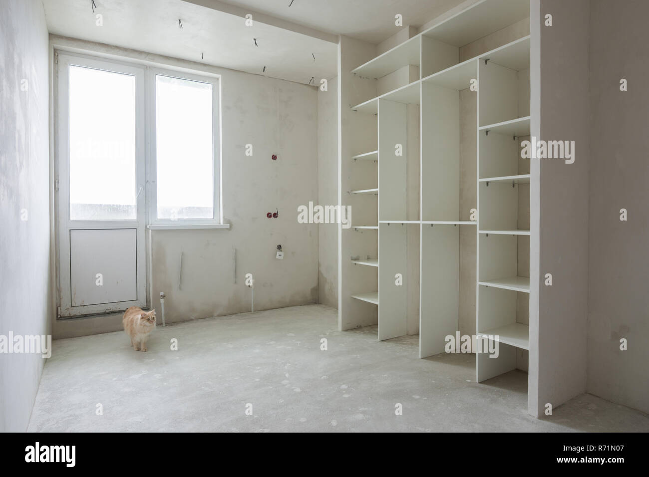 Un gatto passeggiate attraverso una stanza vuota in un edificio di nuova costruzione Foto Stock