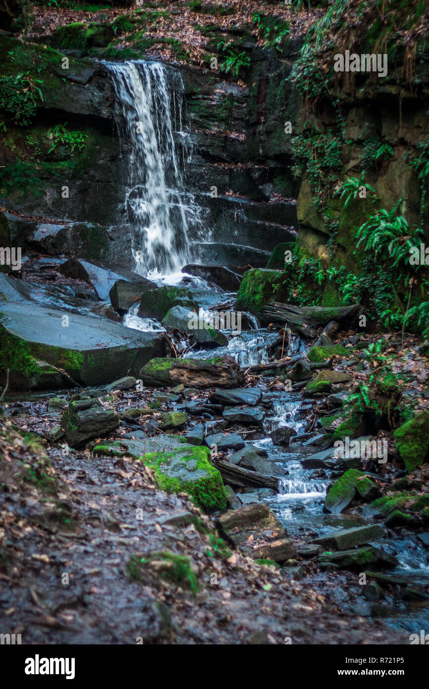 La cascata nel bosco Foto Stock