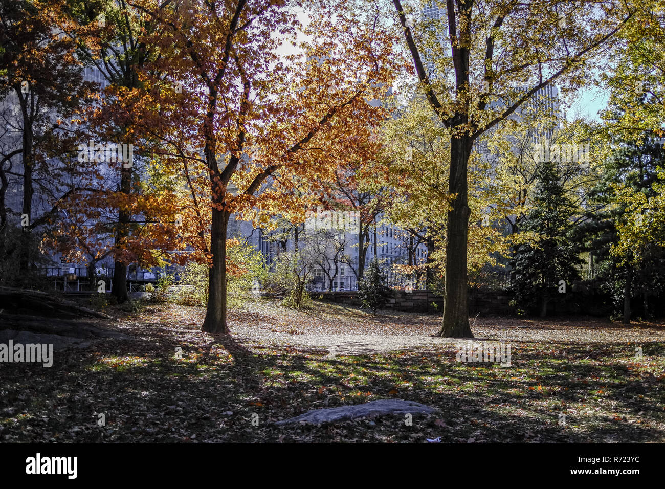 Soleggiata giornata autunnale di Central Park Foto Stock