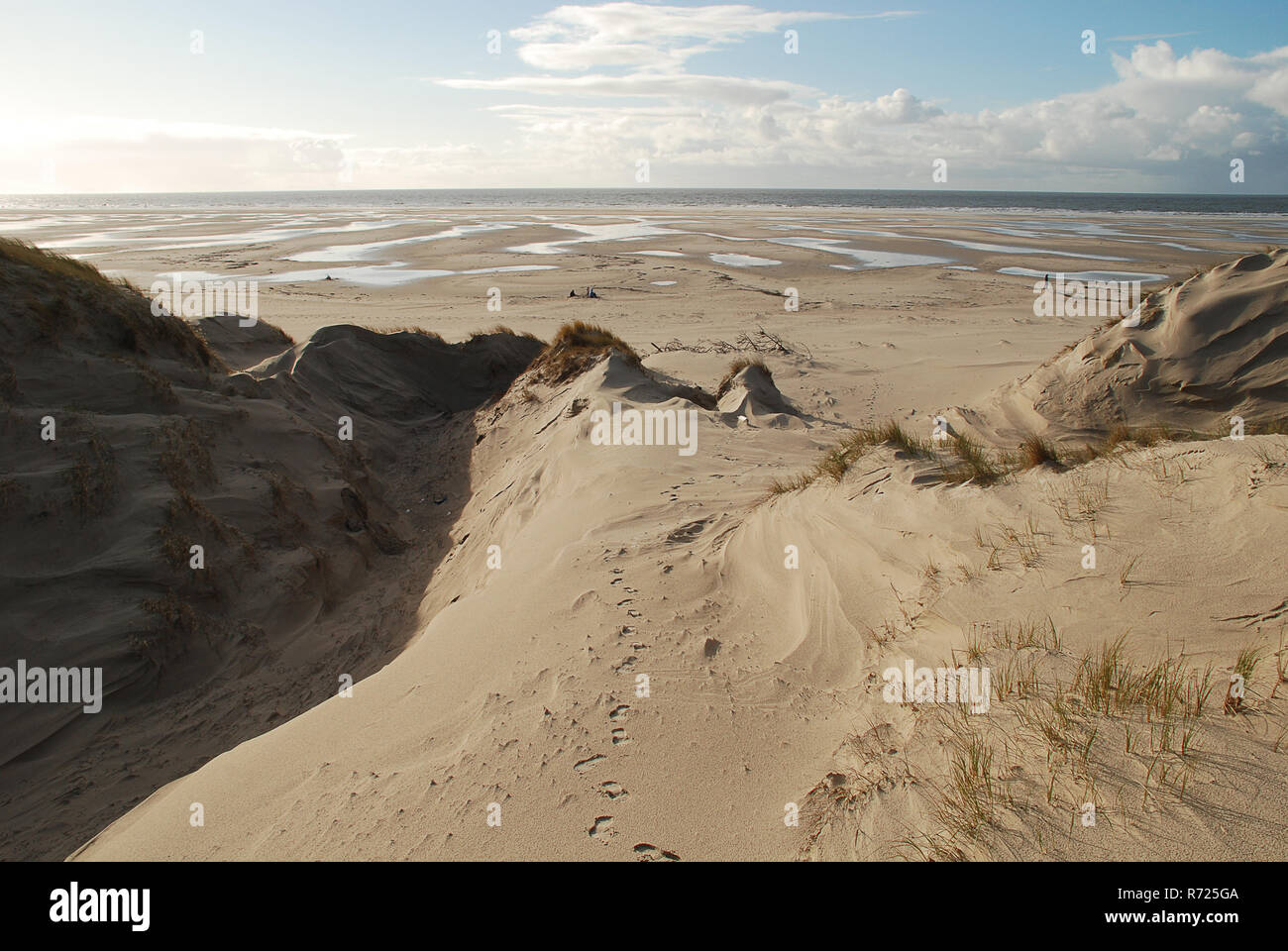 Paesaggio di Amrum, Germania. Amrum è uno del nord Isole Frisone sul tedesco costa del Mare del Nord, a sud di Sylt e a ovest di Foehr Foto Stock