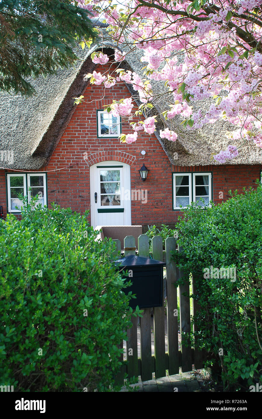 Tipica casa sull'isola Amrum (Germania).Amrum è uno del nord Isole Frisone sul tedesco costa del Mare del Nord, a sud di Sylt e a ovest di Foehr Foto Stock