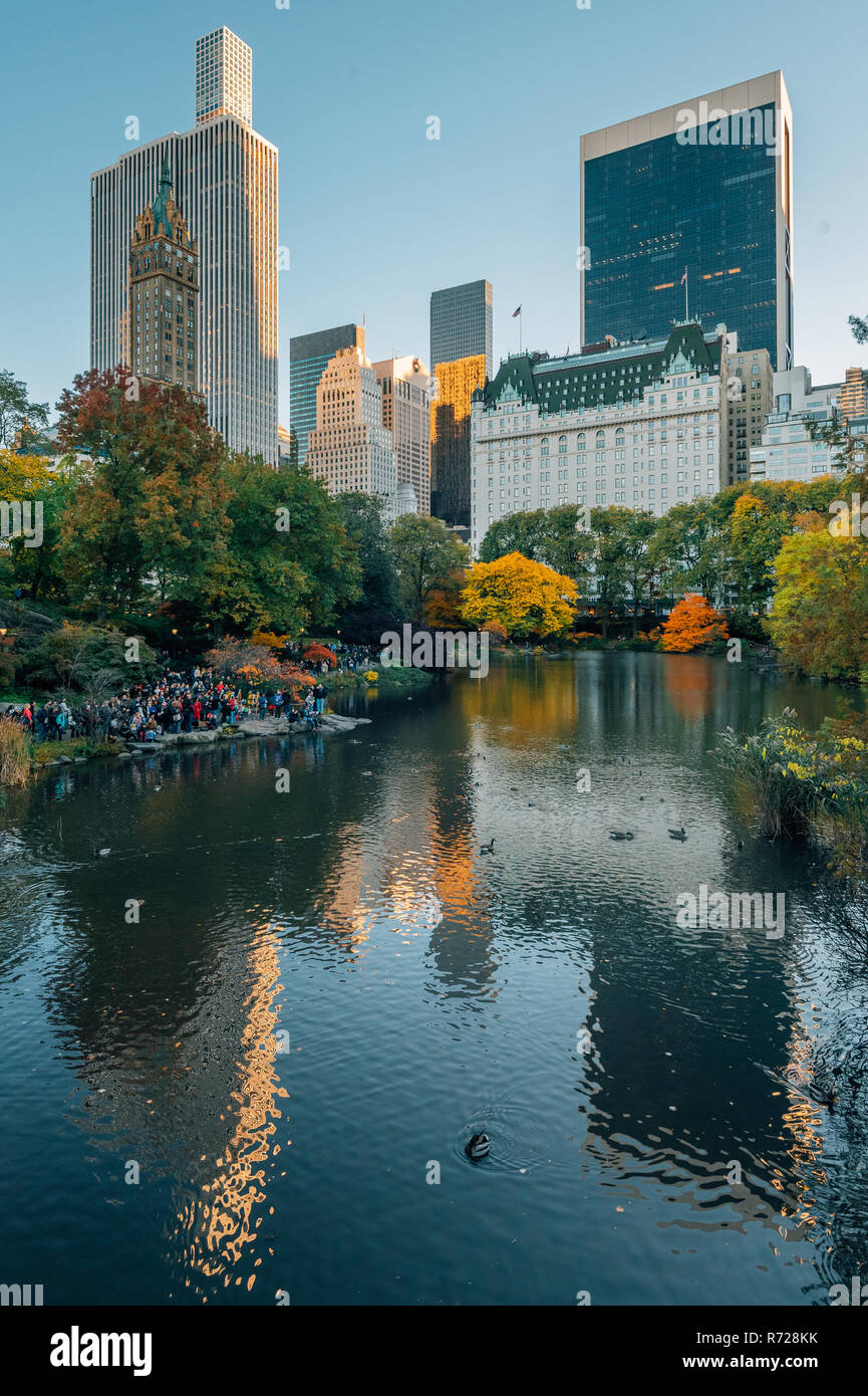 Colore di autunno lungo il laghetto ed edifici in Midtown Manhattan, a New York City Foto Stock