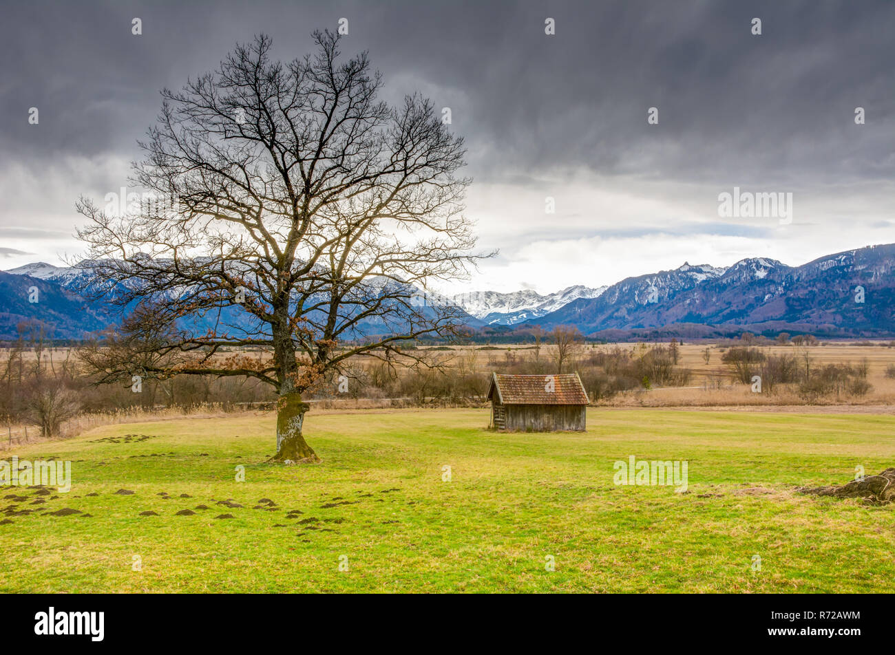 Murnauer Moos bog in Baviera Foto Stock