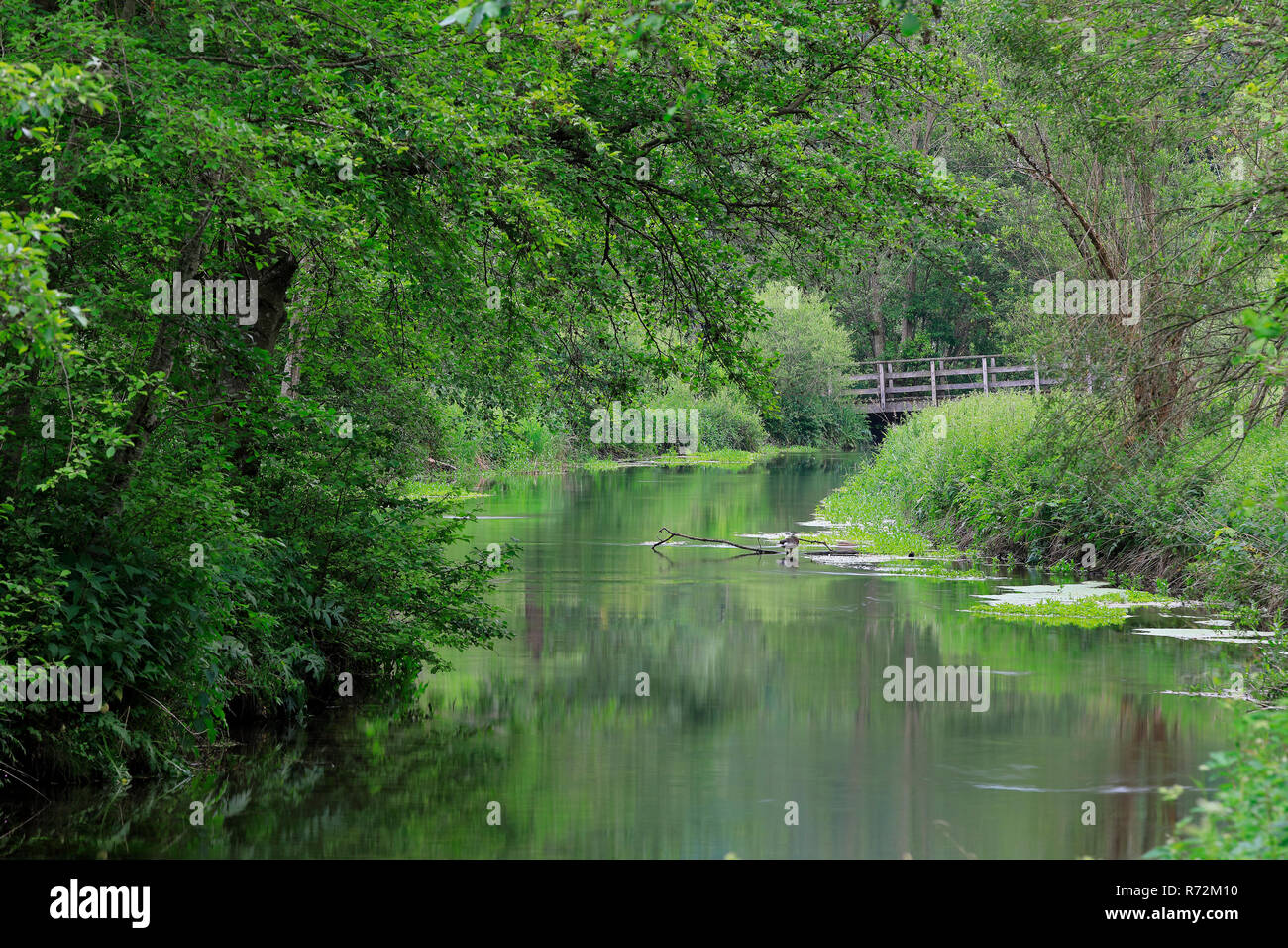 Fiume Lauchert, Lauchert Valley, Germania Foto Stock