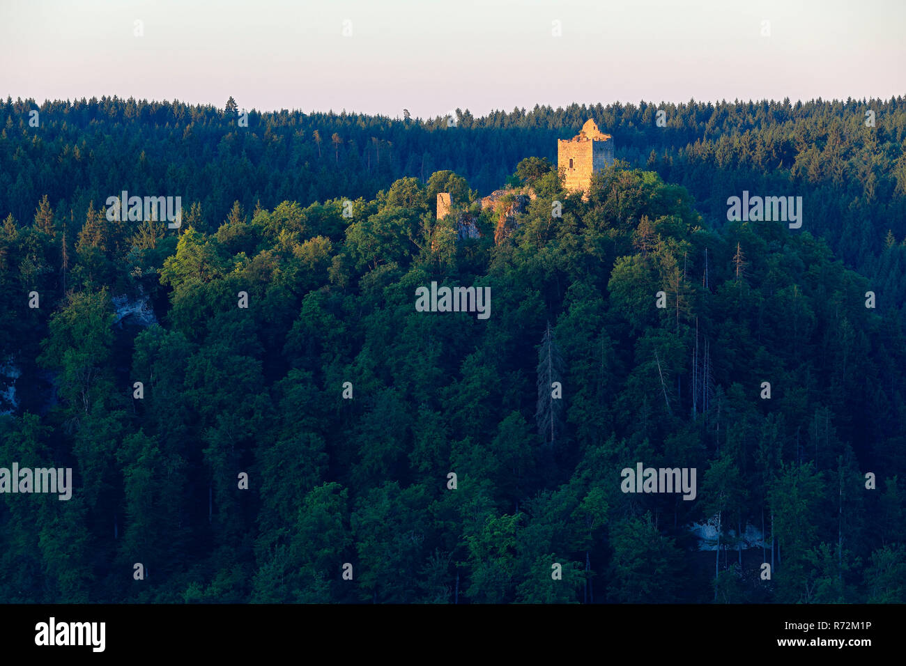 Kallenberg rovine, Baden-Württemberg, Germania Foto Stock