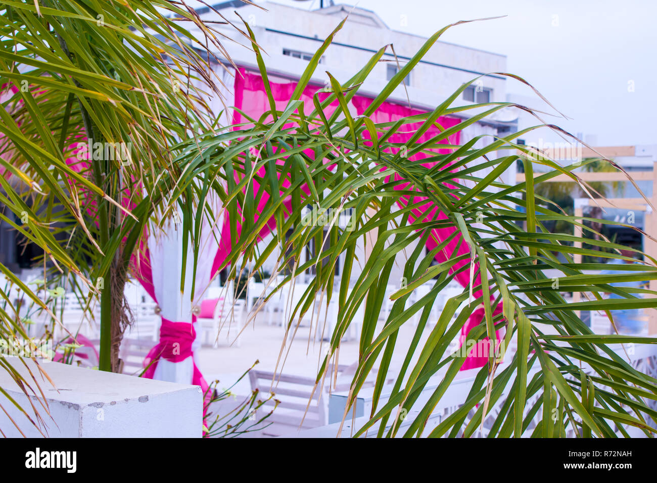 I pneumatici vettura in una fila su un ripiano pneumatico Foto Stock