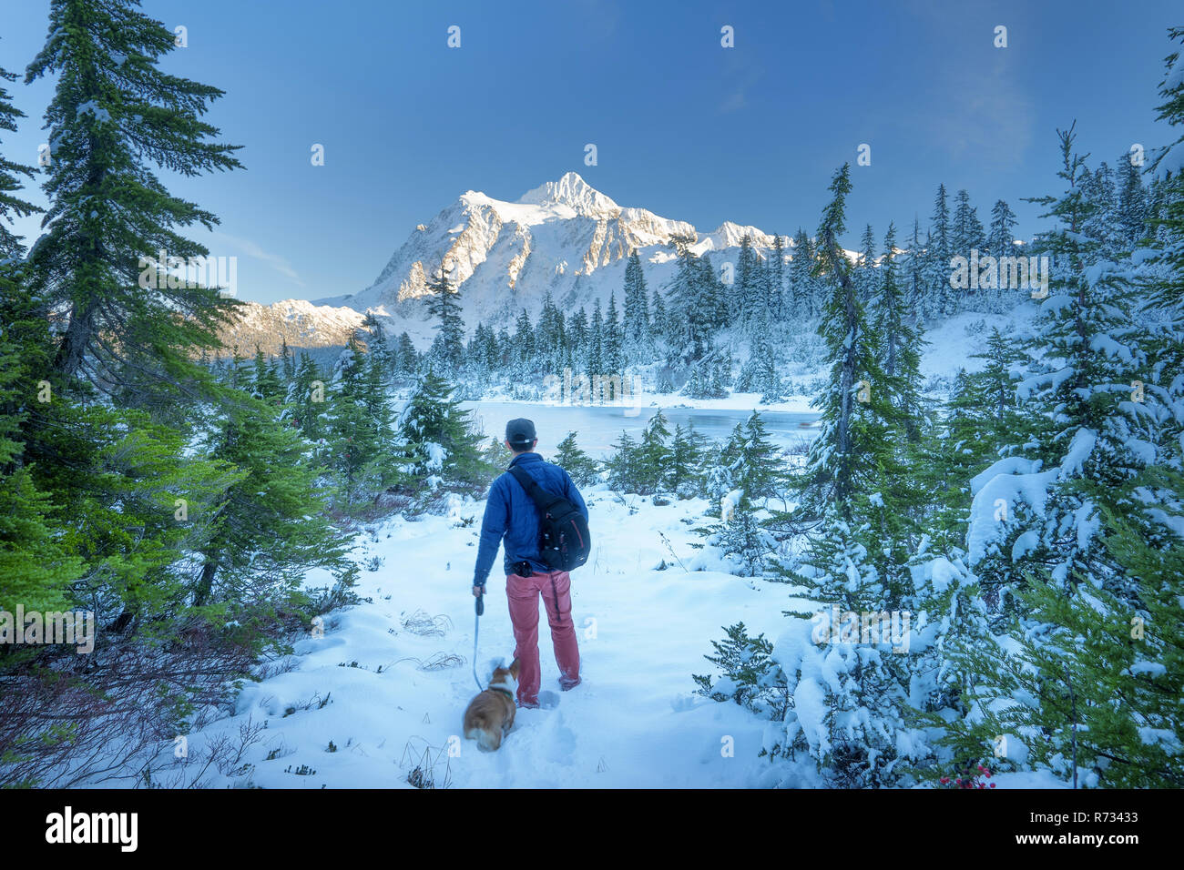 Mount Shuksan è una montagna di spicco nel nord-ovest del Pacifico nel Mount Baker deserto Foto Stock