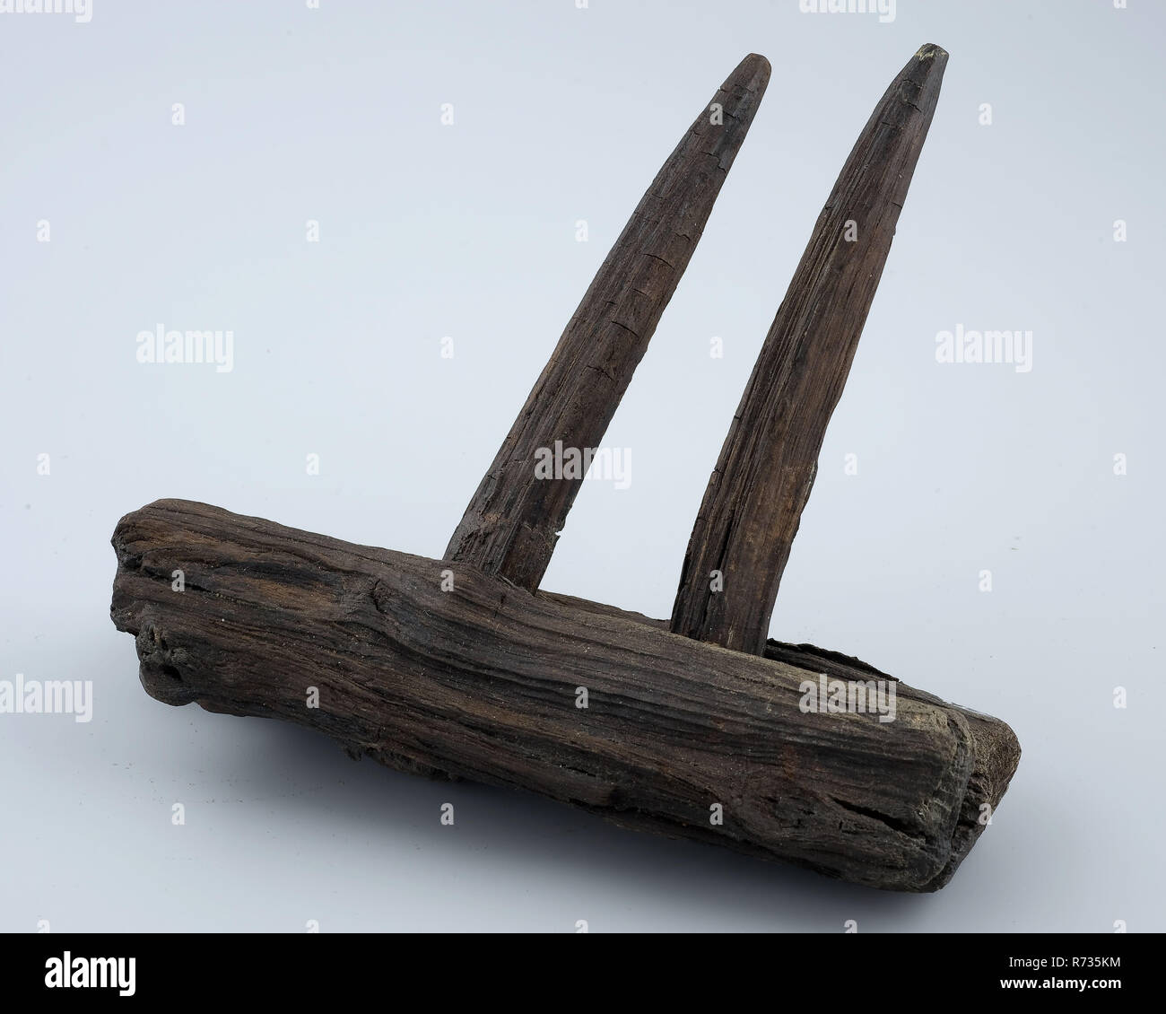 Frammento di rastrello in legno con due denti, rastrello attrezzo terreno attrezzature di trovare il legname segato trapanati tagliare di frammento di rastrello in legno. Frammento di testa con due denti in legno di foro di trivellazione del terzo dente è ancora presente denti sono leggermente usurate punti corpo in legno è strappato archeologia della città di Rotterdam triangolo Groenendaal fossa sotterranea clearing allevatore scoperta del suolo Rotterdam fossa sotterranea Groenendaal dal XIV al XV secolo strato nel settembre 1975. Foto Stock