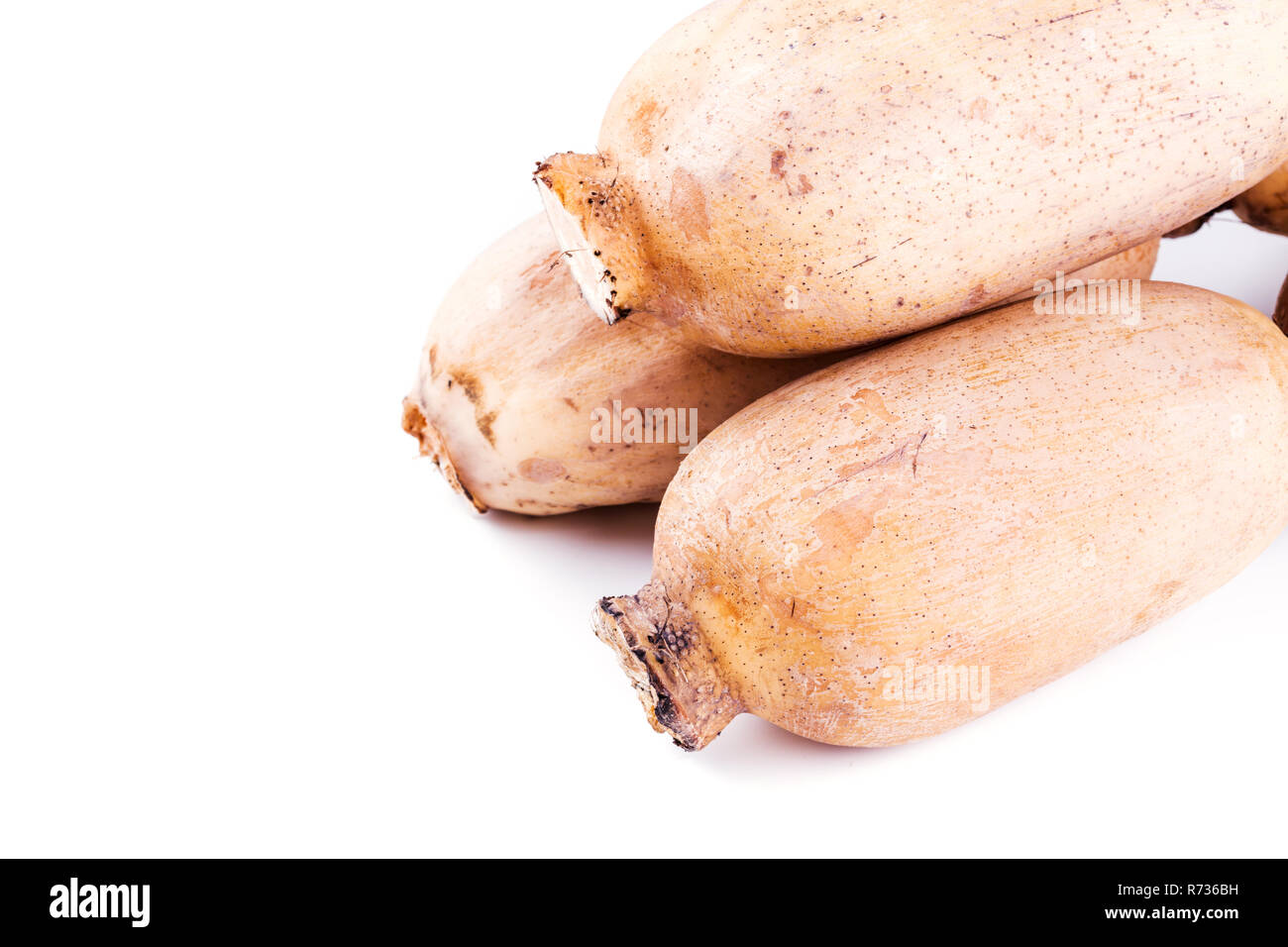 Lotus root su uno sfondo bianco. Alimento naturale e sano Foto Stock