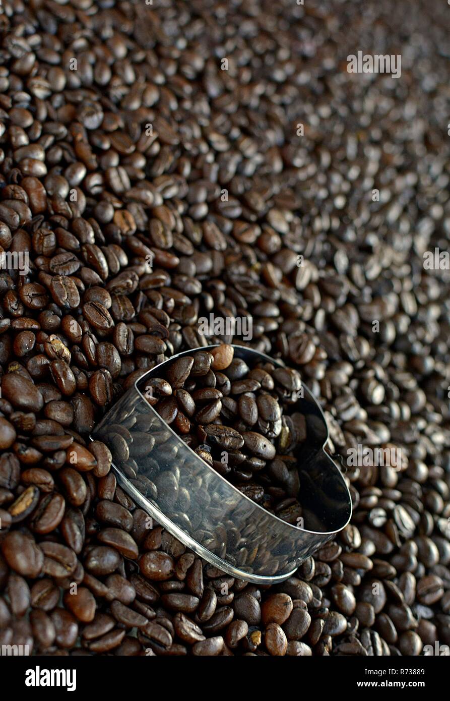 Cuore in acciaio inox su uno sfondo di chicchi di caffè Foto Stock