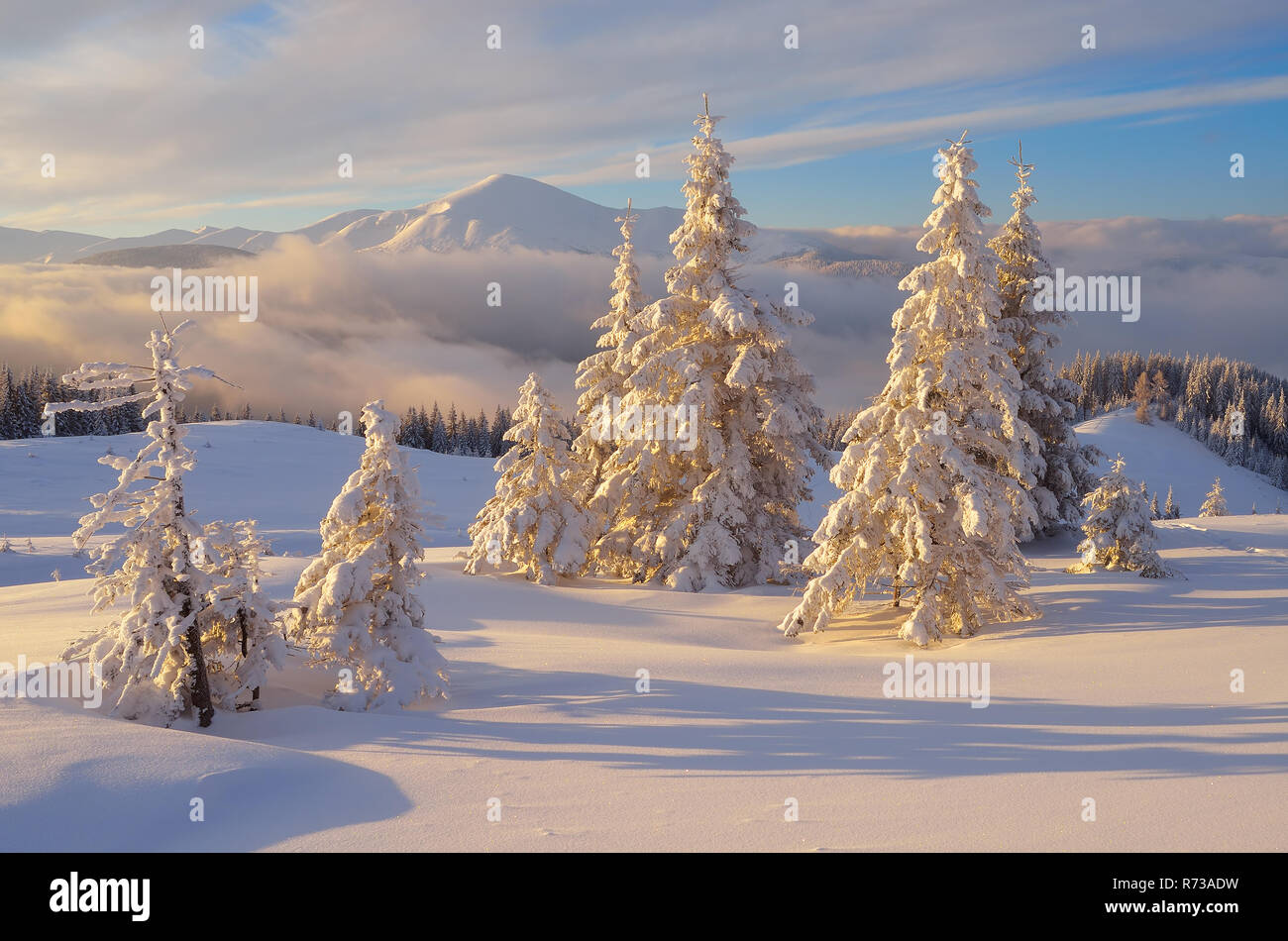 Foto Di Paesaggi Di Natale.Favoloso Paesaggio Di Natale Abeti Sotto La Neve Belle Montagne Invernali Foto Stock Alamy