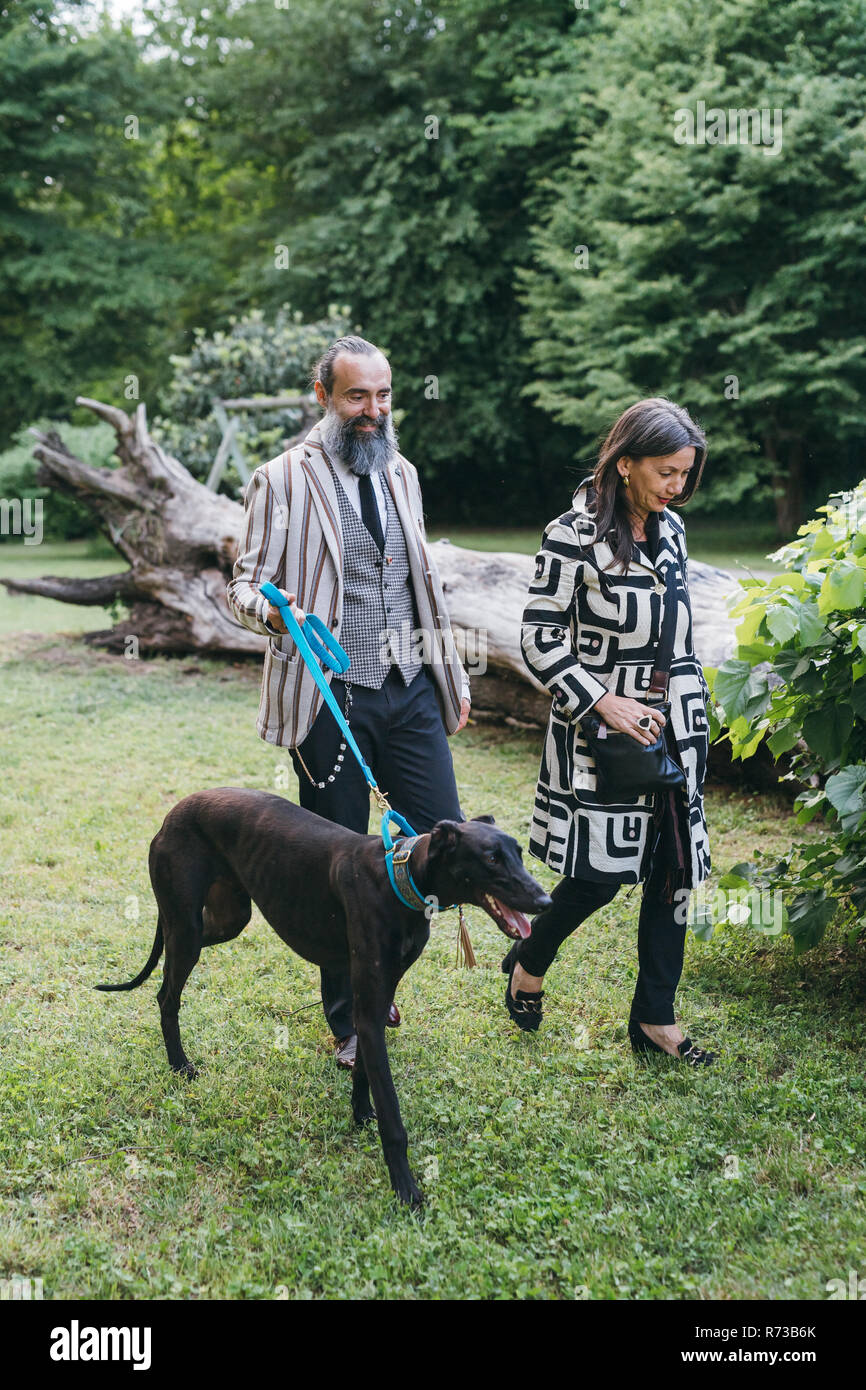 Giovane cane a piedi nei boschi Foto Stock