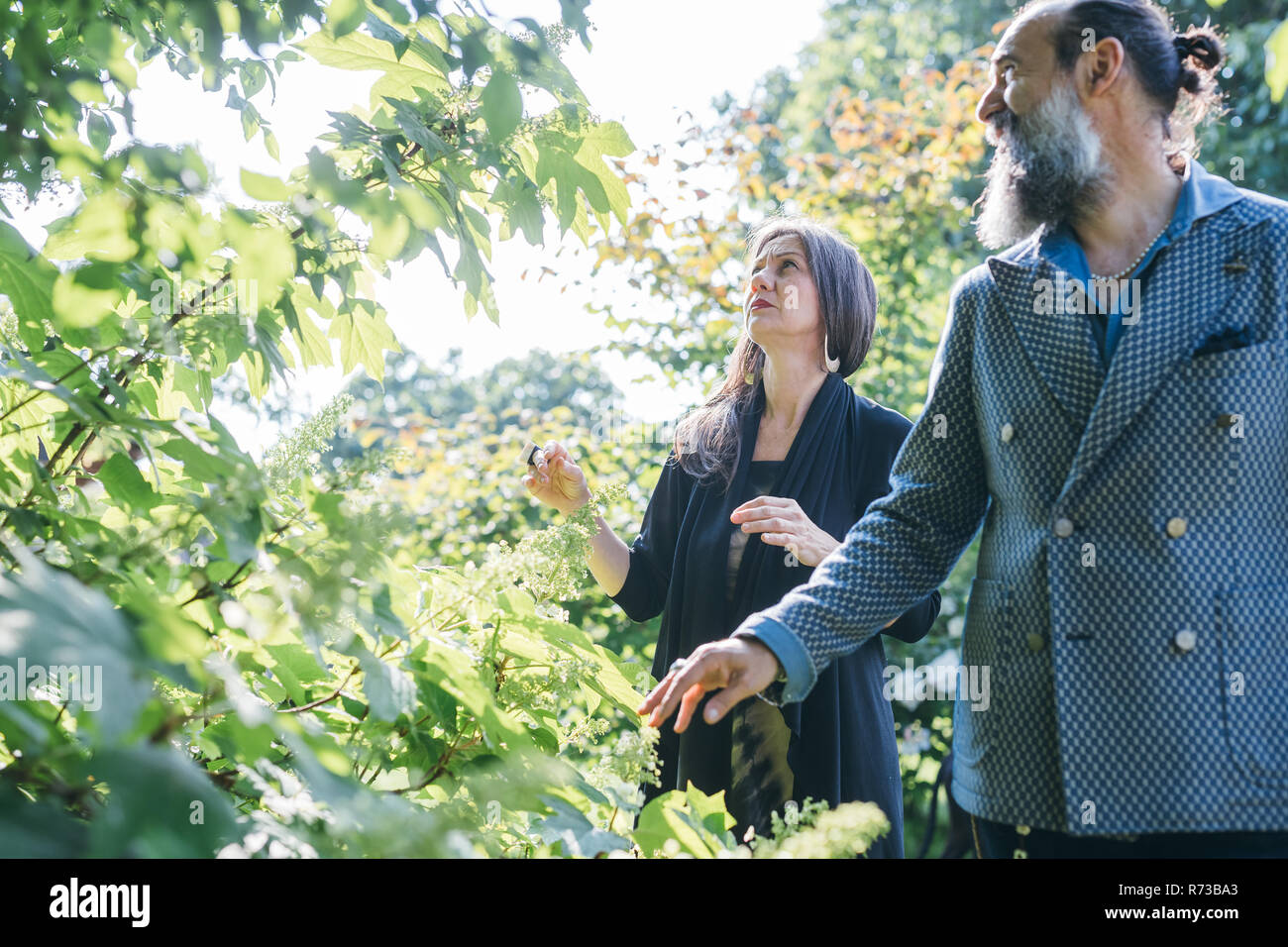 Matura nel loro giardino Foto Stock