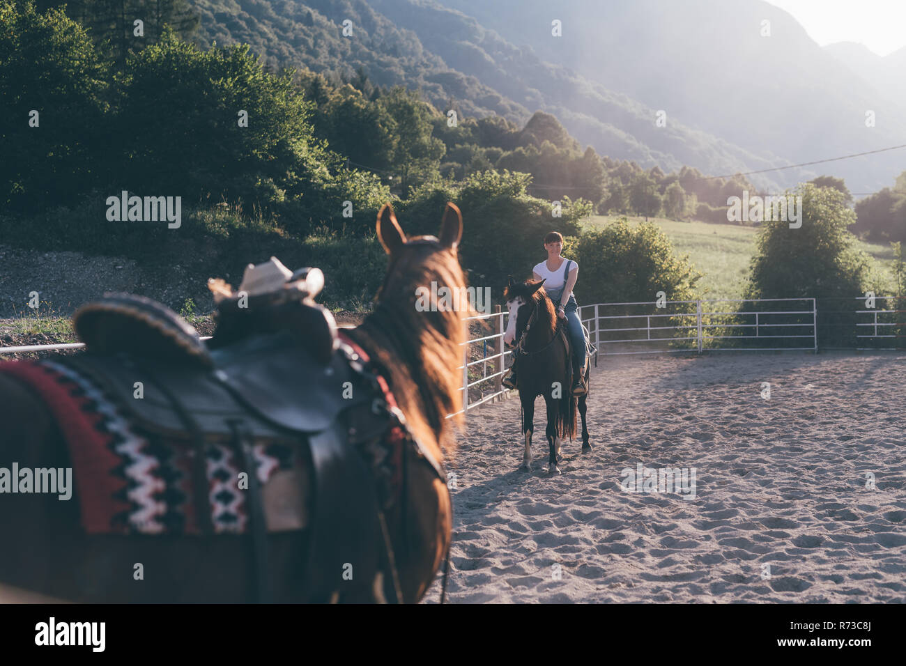 Giovane donna a cavallo nelle zone rurali equestrian arena, Primaluna, Trentino-Alto Adige, Italia Foto Stock