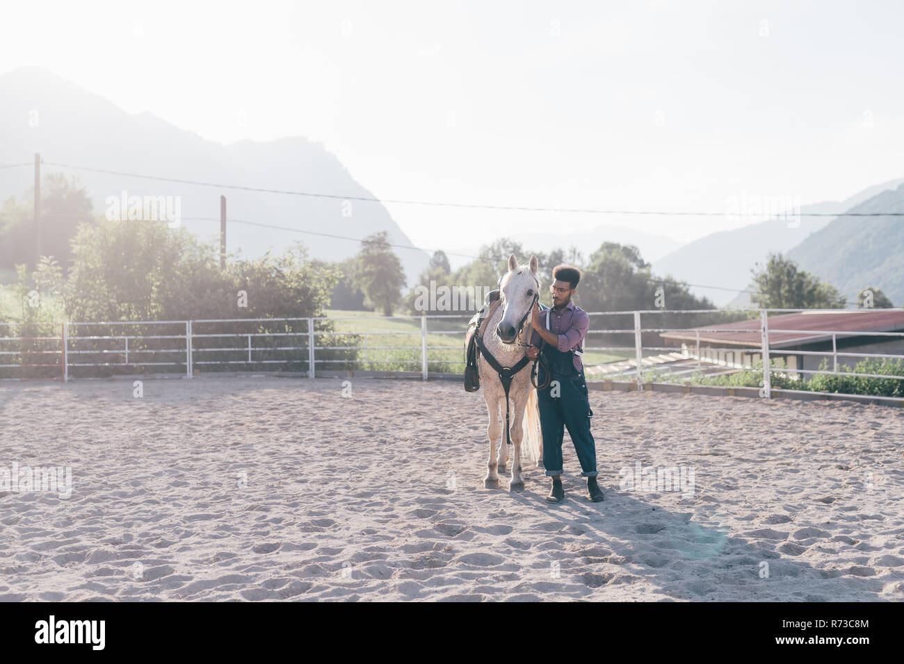 Giovane uomo il legame con il cavallo in rurale arena equestre, Primaluna, Trentino-Alto Adige, Italia Foto Stock