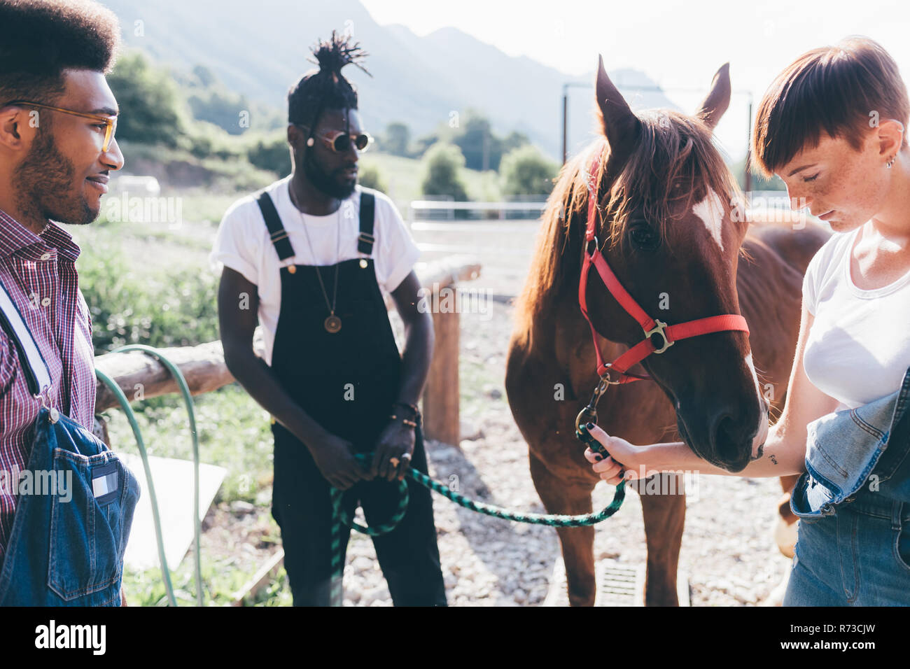 Giovane donna e gli uomini il legame con il cavallo in rurale arena equestre Foto Stock