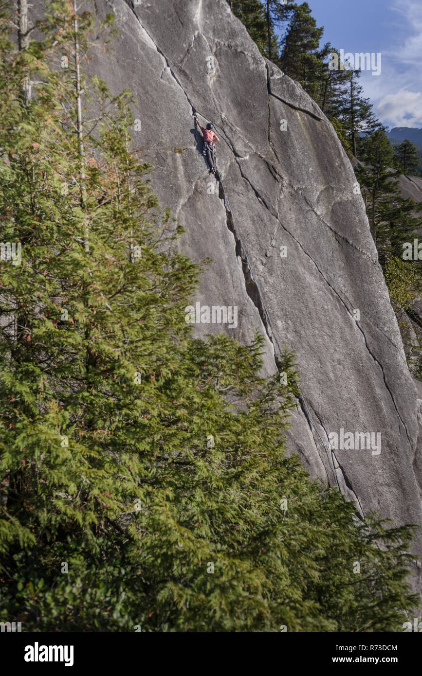 Scalatore di roccia di scala su Malamute, Squamish, Canada Foto Stock