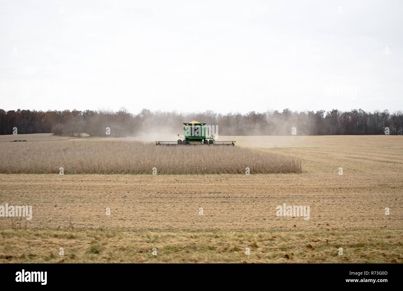 A John Deere per la raccolta di mais in una giornata grigia. Foto Stock