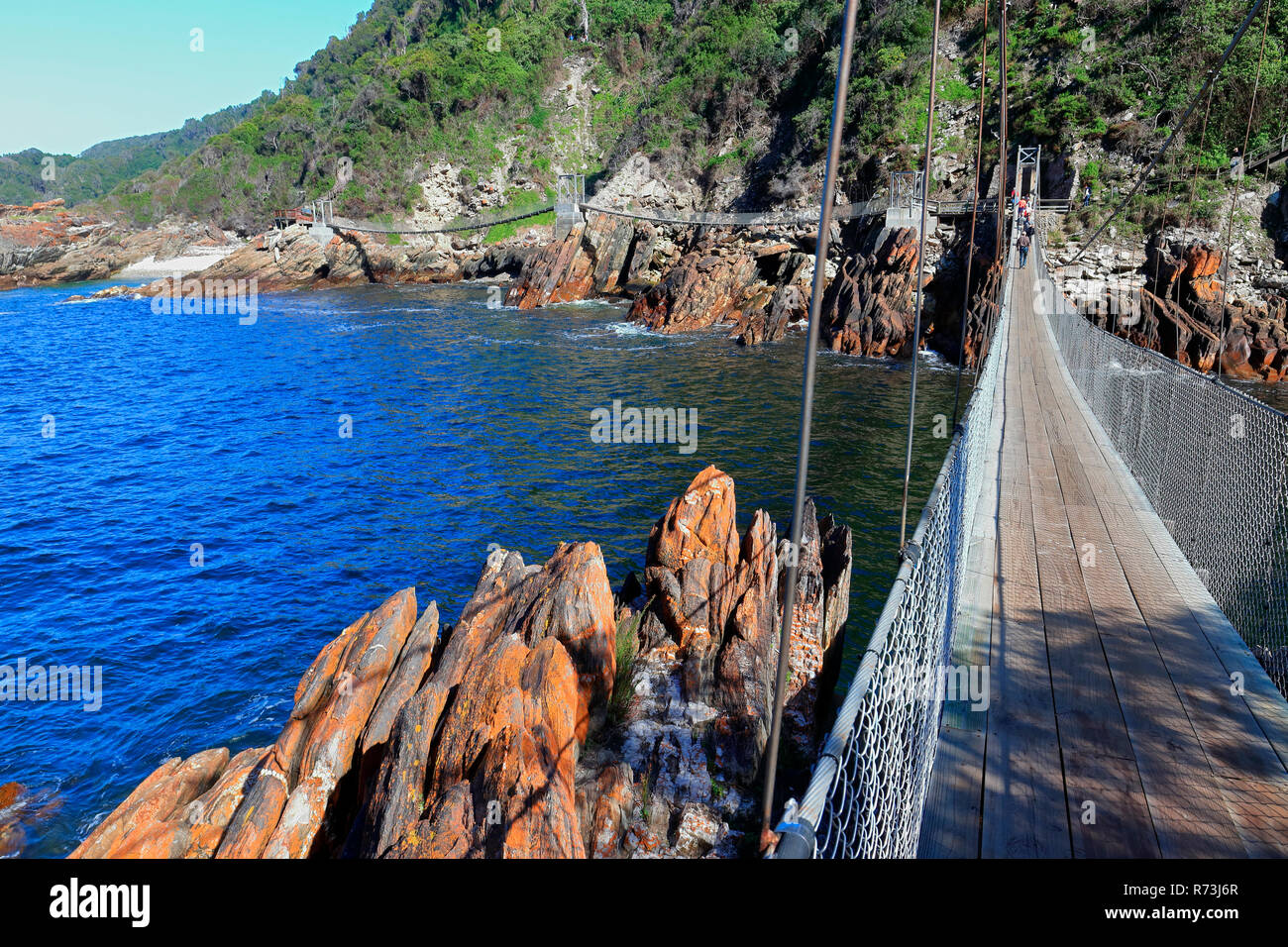 Ponte di sospensione, Oceano Pacifico, tempeste Foce, Tsitsikama National Park, Western Cape, Sud Africa e Africa Foto Stock