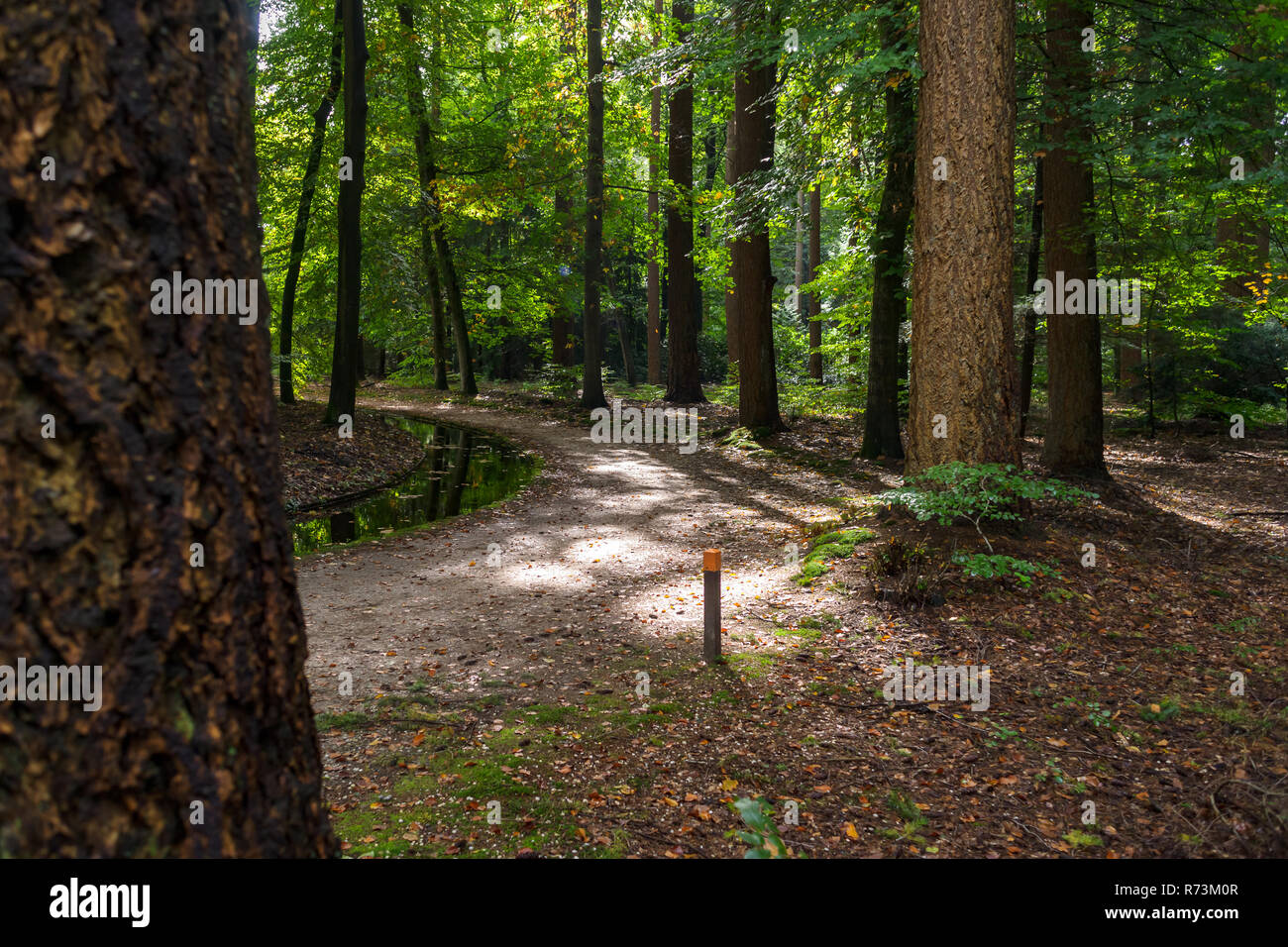 Piccole vie navigabili e sentieri escursionistici in 't Loo' palace parco nei Paesi Bassi Foto Stock