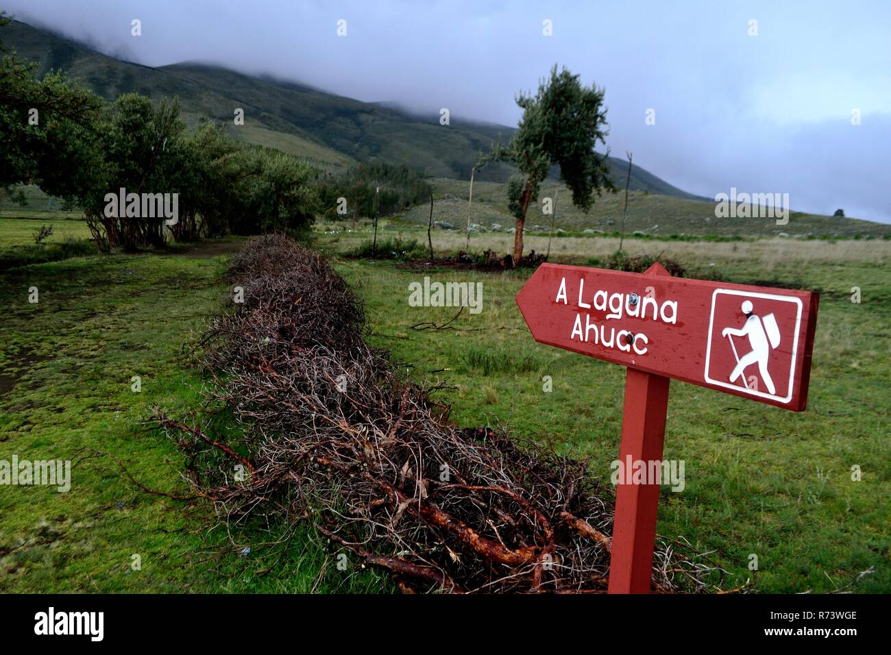 Segno - Modo di AHUAC LAGUNA. Dipartimento di Ancash.PERÙ Foto Stock