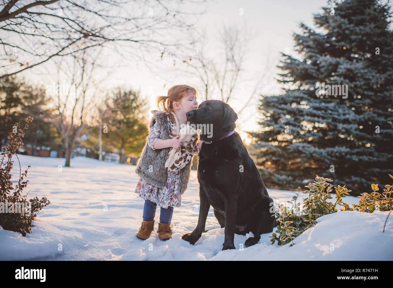 Toddler femmina con i capelli rossi a giocare nella neve con il cane, Keene, Ontario, Canada Foto Stock