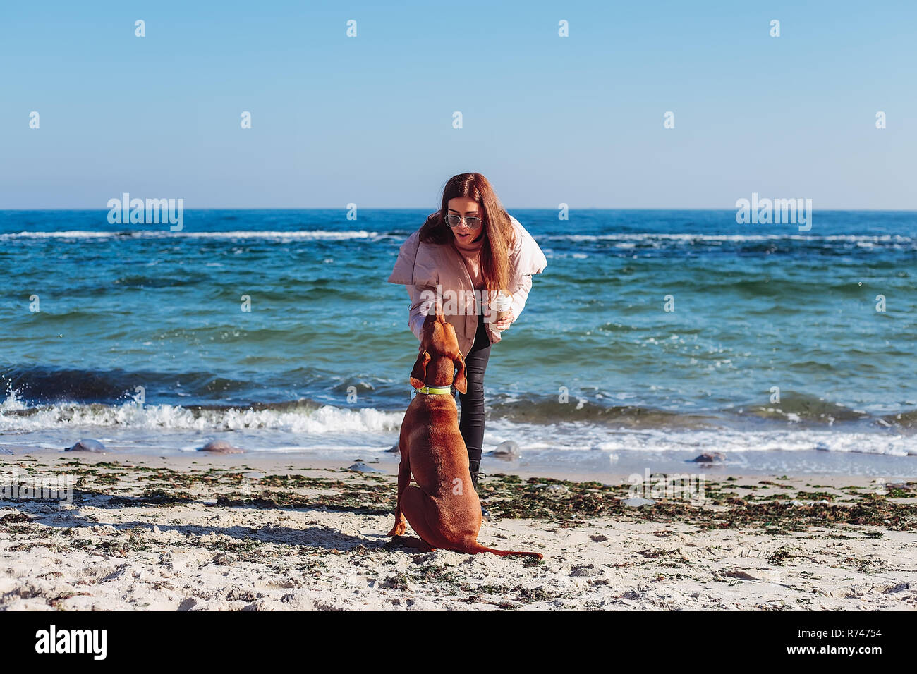 Elegante metà donna adulta sulla spiaggia come accarezzare il suo cane, Odessa, Odeska, Oblast di Ucraina Foto Stock