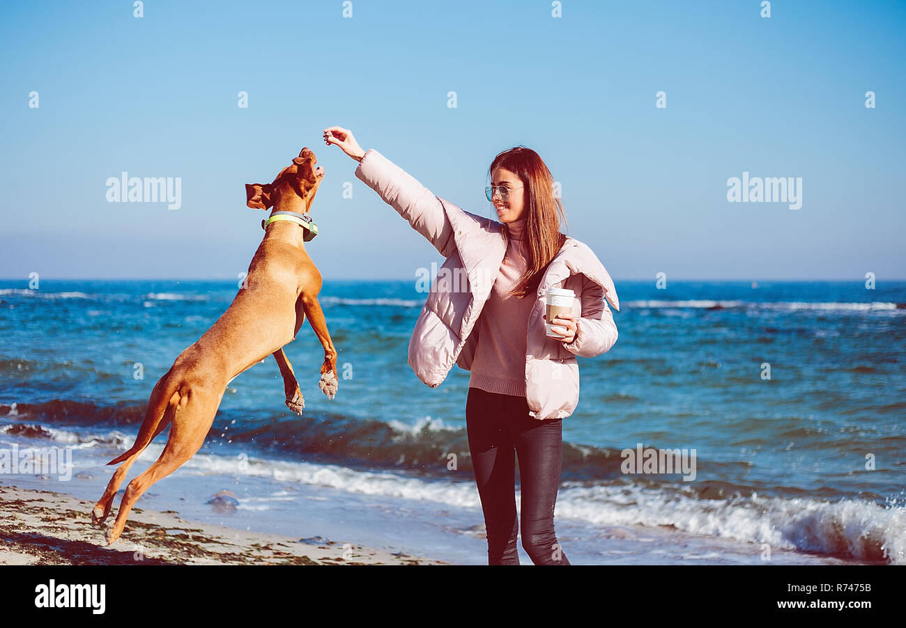 Metà donna adulta sulla spiaggia a giocare con il suo cane, Odessa, Odeska, Oblast di Ucraina Foto Stock
