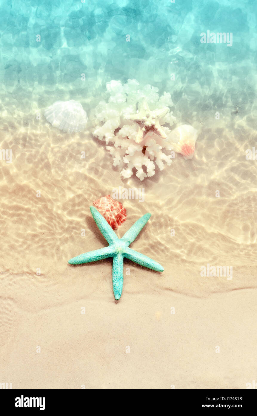 Starfish, corallo e conchiglie sulla spiaggia di estate in acqua di mare. Estate sfondo. Orario estivo Foto Stock
