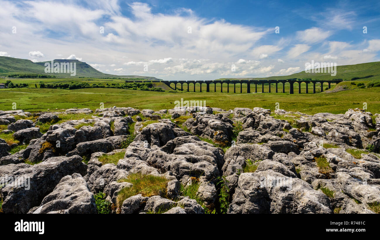 Ribblehead, England, Regno Unito - 3 Luglio 2015: un treno di containers da trasporto attraversa il viadotto Ribblehead sulla Scenic sedimentare e Carlisle ferrovia in Engl Foto Stock