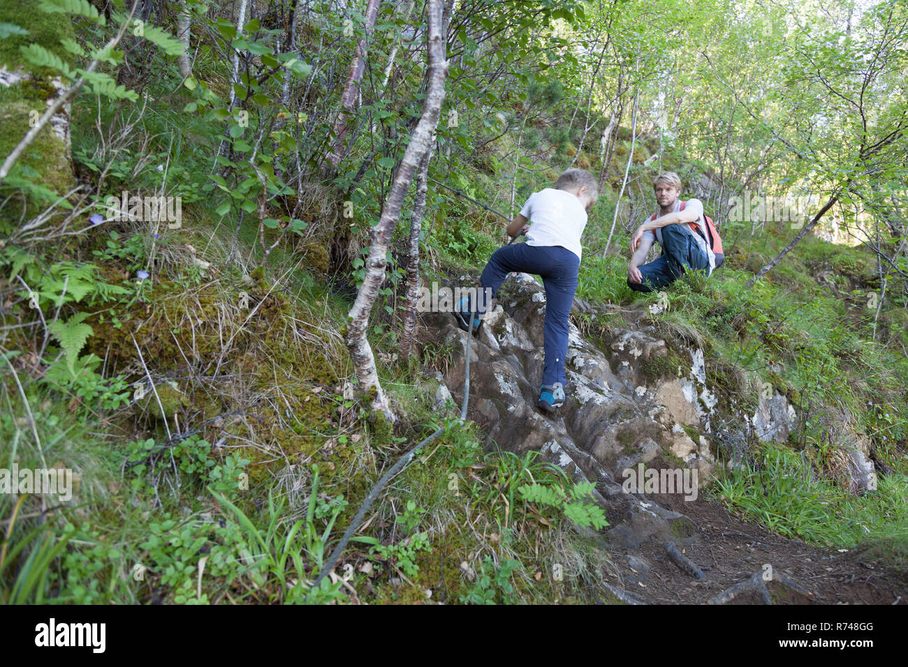 Ragazzo e padre risalendo il bosco di muschio, Aure, More og Romsdal, Norvegia Foto Stock