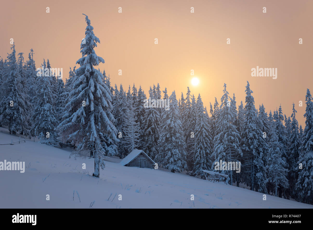 Natale con il paesaggio da fiaba di casa di legno nella foresta. Splendido tramonto in inverno con la nebbia. Abeti nella neve Foto Stock