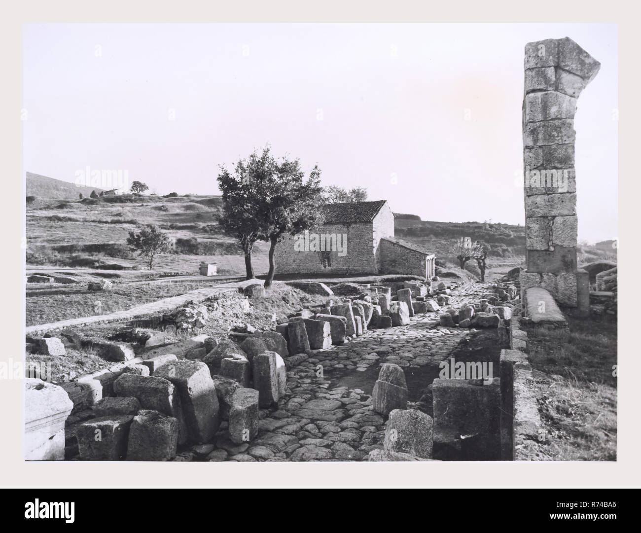 Umbria Terni Carsulae resti della città antica, questa è la mia Italia, il paese italiano di storia visiva, antichità Architettura, frammenti architettonici municipio romano del VI distretto augustea ascritto alla tribù di Crustumina era centrale crocevia della Via Flaminia nel trattato di Narnia Vicus Martis e Santa Maria in Pantano. Primo nucleo habitated originato dopo apertura della strada consolare e fu ampliata ed ha guadagnato in importanza durante l'impero, come è indicato nei monumenti. La loro collocazione rivela un organico ed unitario piano urbano. Foto Stock