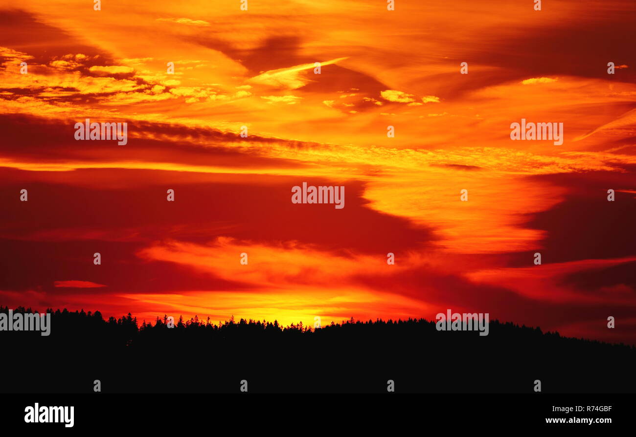 La silhouette della foresta con un suggestivo tramonto Cielo profondo in arancione e rosso nelle montagne Harz in Germania. Foto Stock
