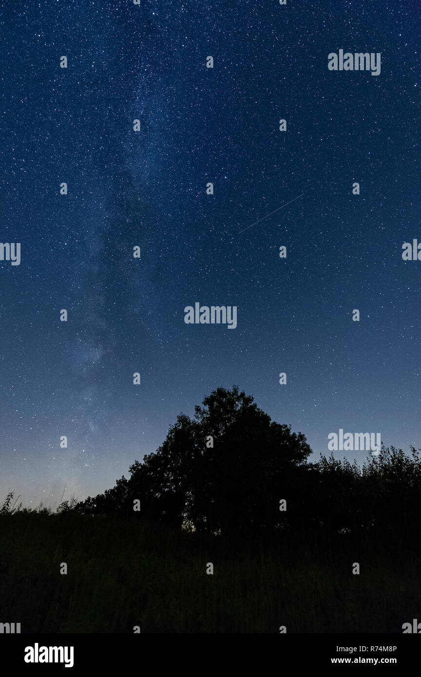 Via Lattea e meteore durante Perseids meteor shower, Agosto 12-13, 2018. MN, Stati Uniti d'America, di Dominique Braud/Dembinsky Foto Assoc Foto Stock