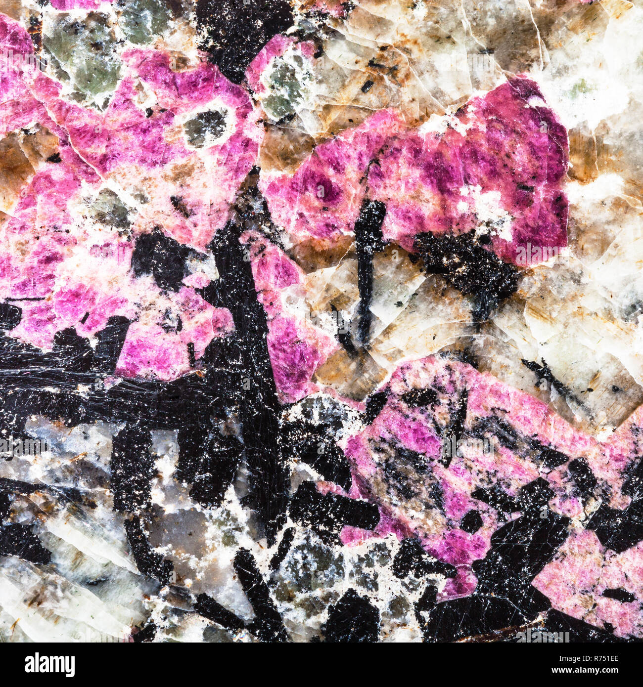 Sfondo quadrato da eudialyte e aegirine Foto Stock