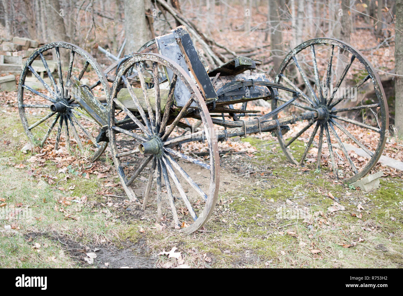 Un ripartiti amish buggy. Foto Stock