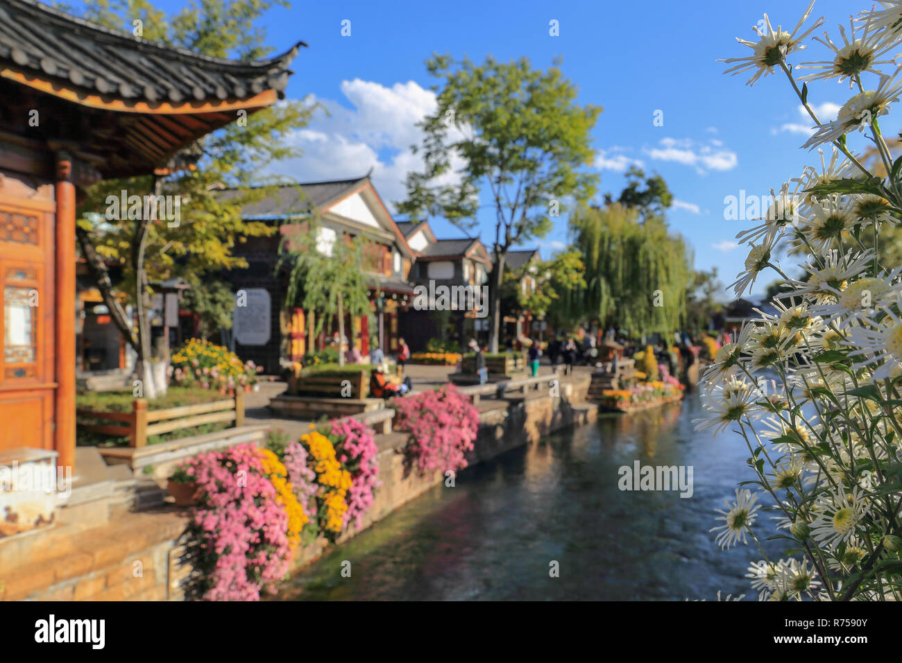 Creek a Lijiang old town , sito patrimonio mondiale , Yunnan, Cina e Asia Foto Stock