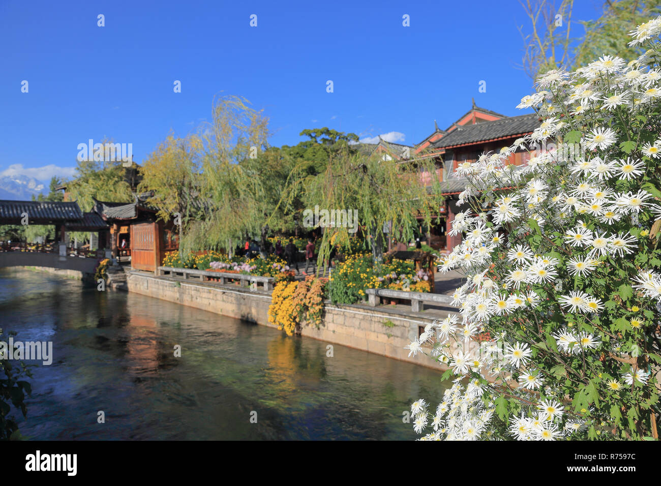 Creek a Lijiang old town , sito patrimonio mondiale , Yunnan, Cina e Asia Foto Stock