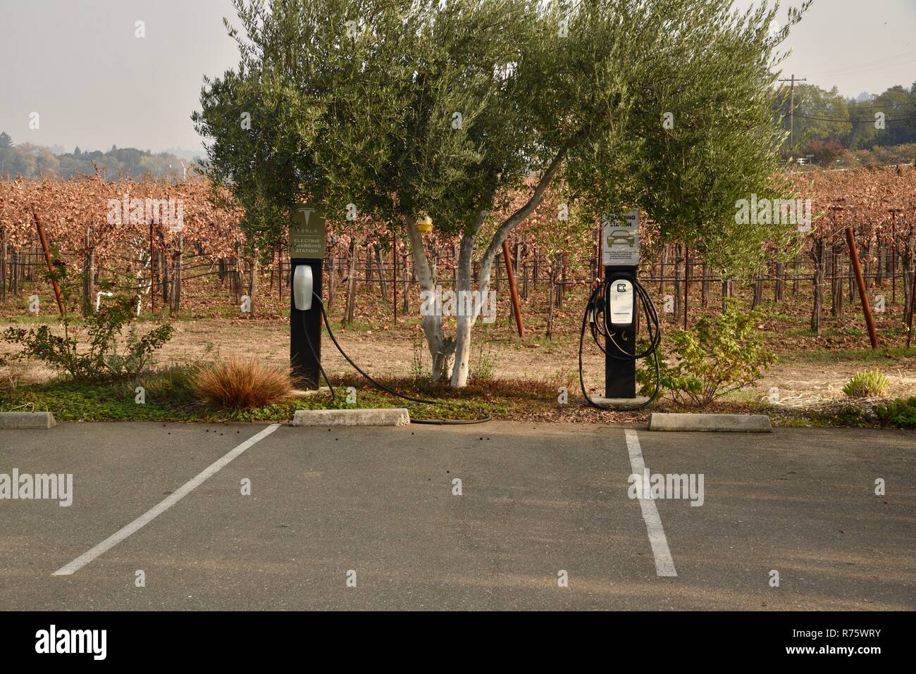 Sign & Veicolo elettrico stazione di carica con EV designato spazi di parcheggio, in cantina vigneti Quivira, in Healdsburg, CA, Stati Uniti d'America Foto Stock