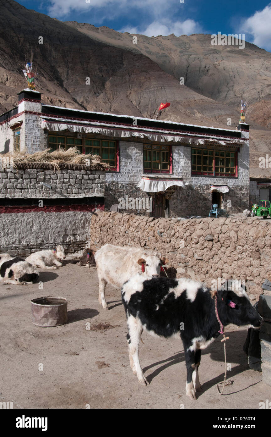 La vita del villaggio nel Tibet occidentale, Cina Foto Stock
