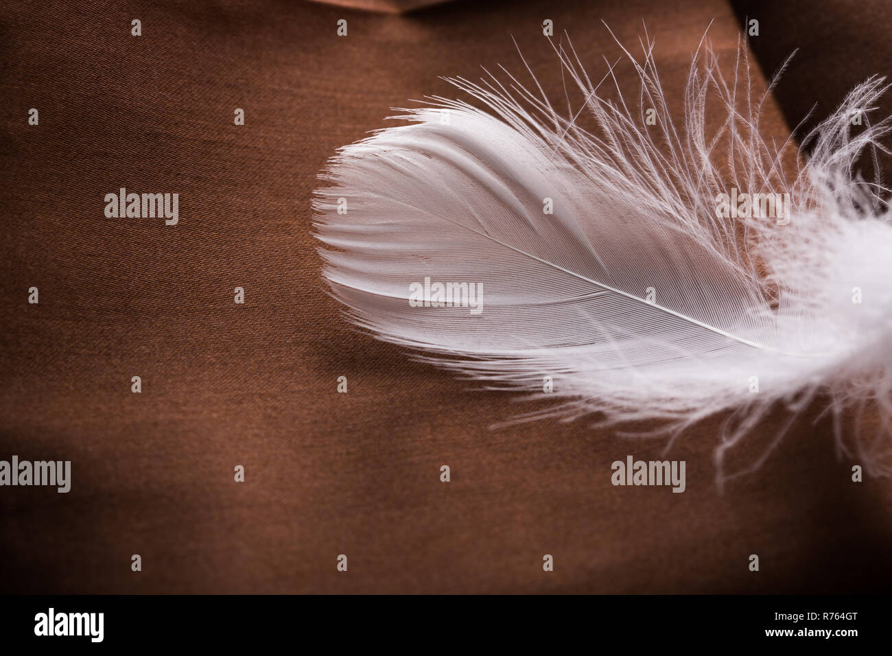 Piume bianche sul panno marrone. Primo piano Foto Stock