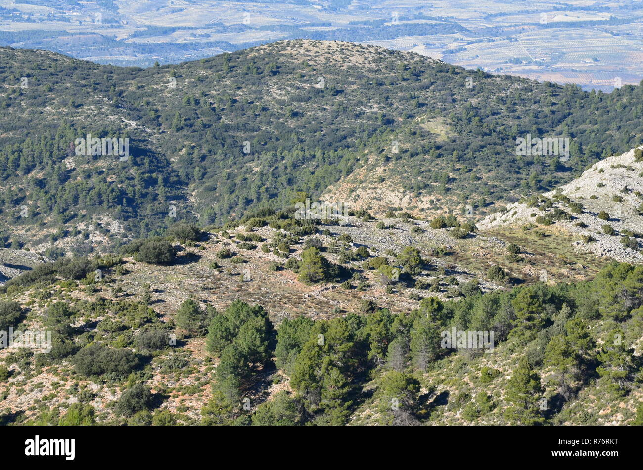 Morrón de Alhama mountain trail, Sierra Espuña massiccio, Murcia (sud della Spagna) Foto Stock