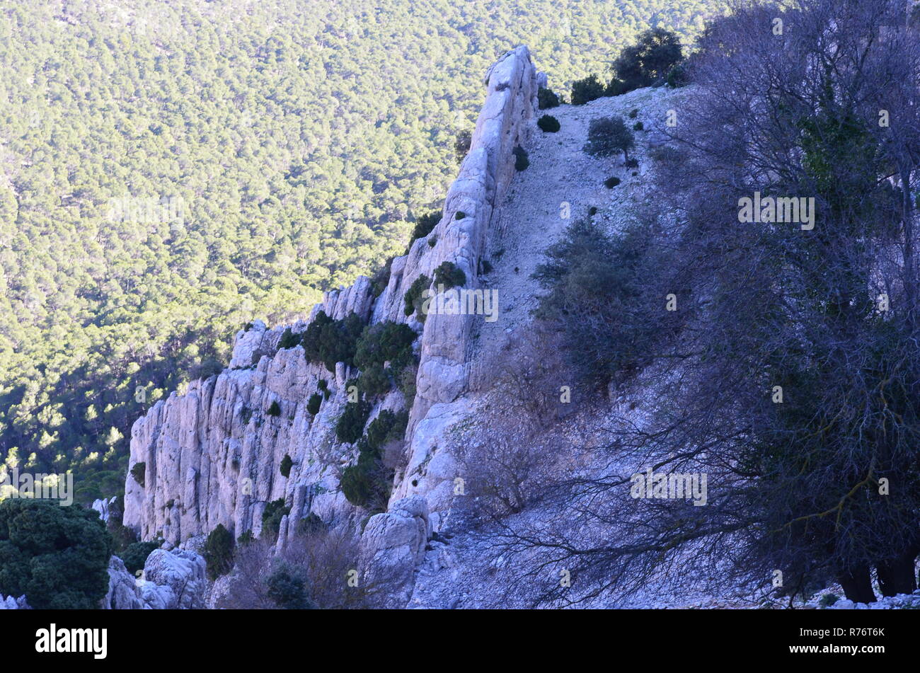 Morrón de Alhama mountain trail, Sierra Espuña massiccio, Murcia (sud della Spagna) Foto Stock