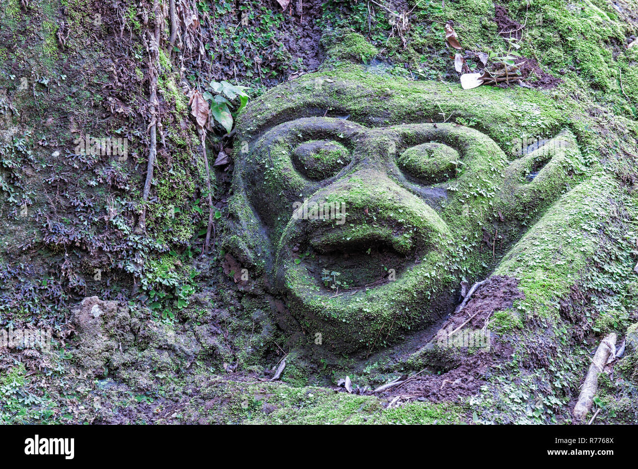 Moss-scultura coperto nella foresta, Goa Gajah elefante complesso Grotta, Bali, Indonesia Foto Stock