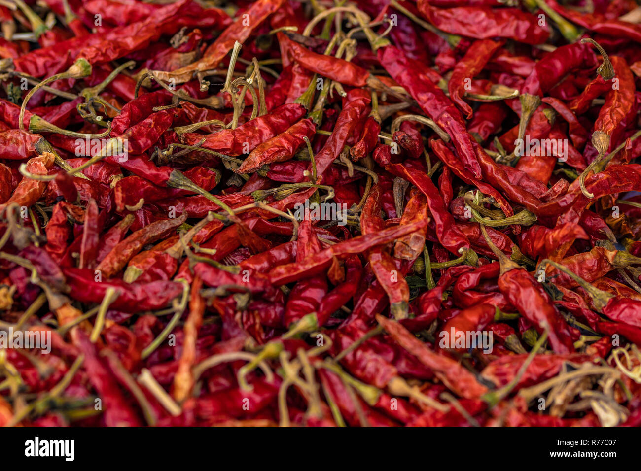 Un sacco di rosso chilie piccante Foto Stock