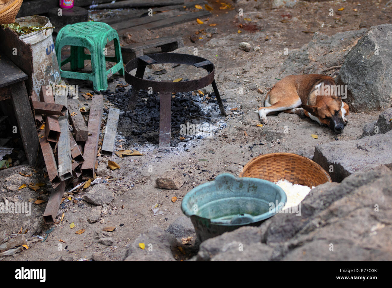 Un cane dormire in strada Foto Stock