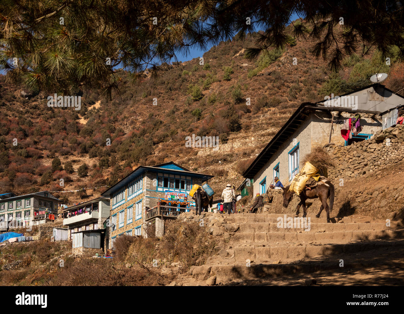 Il Nepal, Namche Bazar, gradini rocciosi, Ciro Café e primi edifici a bordo meridionale di Namche Baxaar Foto Stock